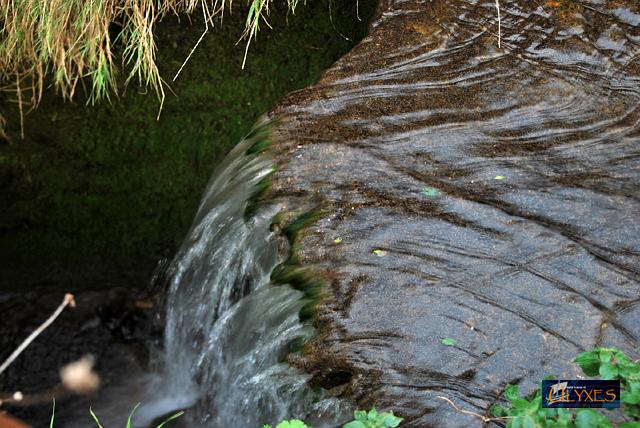 acqua di sopra.JPG